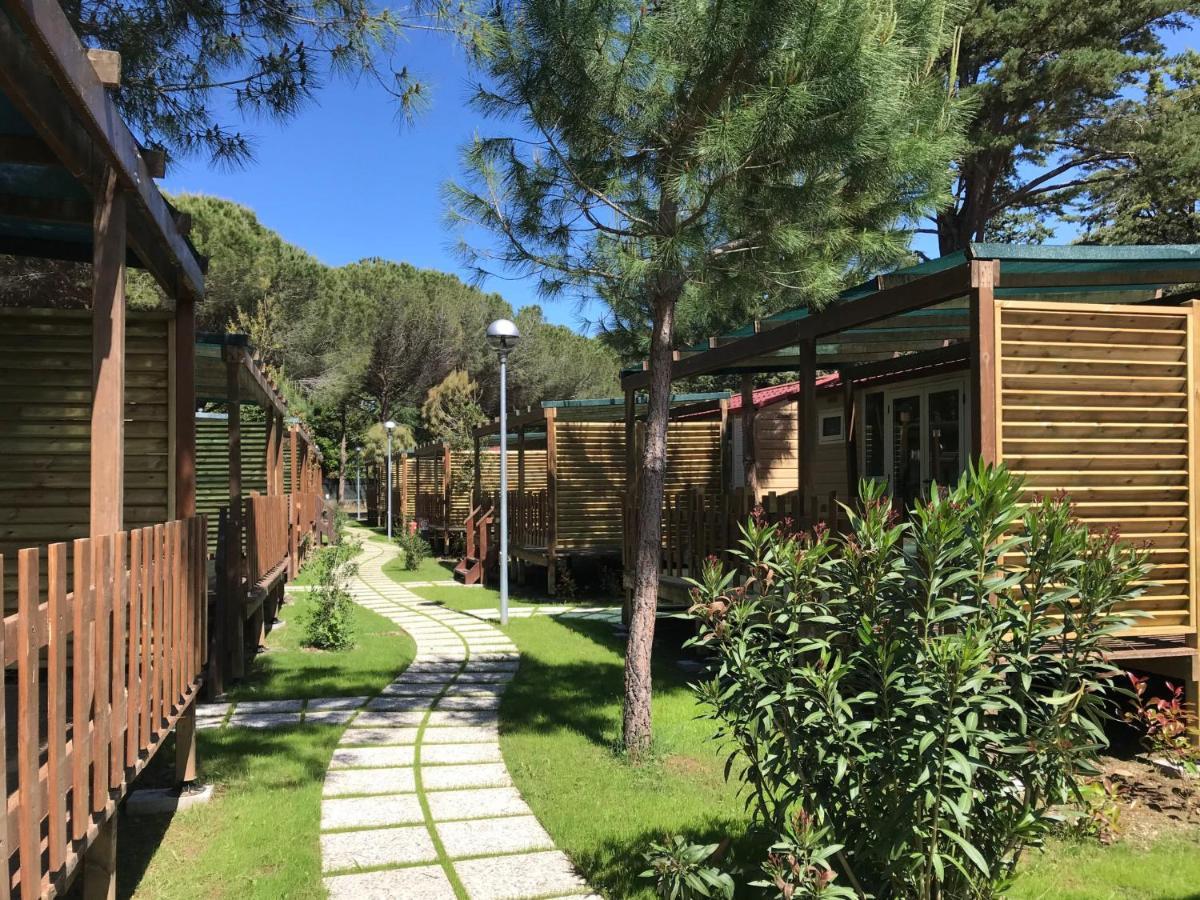 Villa Locazione Turistica Ponente 6 Marina Di Bibbona Esterno foto